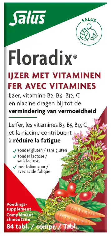 SALUS FLORADIX IJZER-TABLETTEN 84
