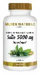 GOLDEN NATURALS SALIE 5000MG 6 60